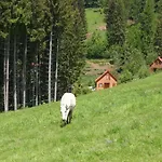 Karawankenpanorama S Apartment Liebenfels