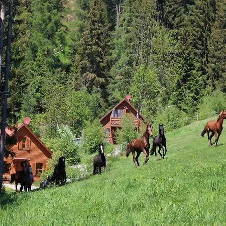 Karawankenpanorama S アパート *