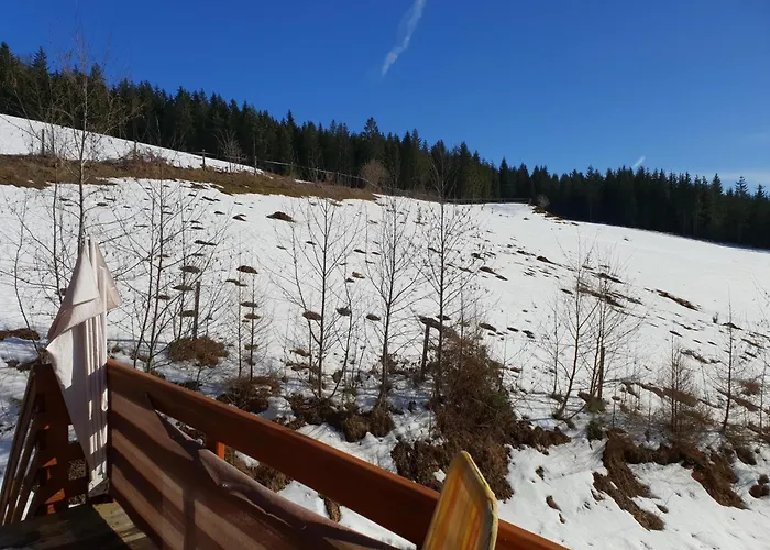 Appartement Karawankenpanorama S