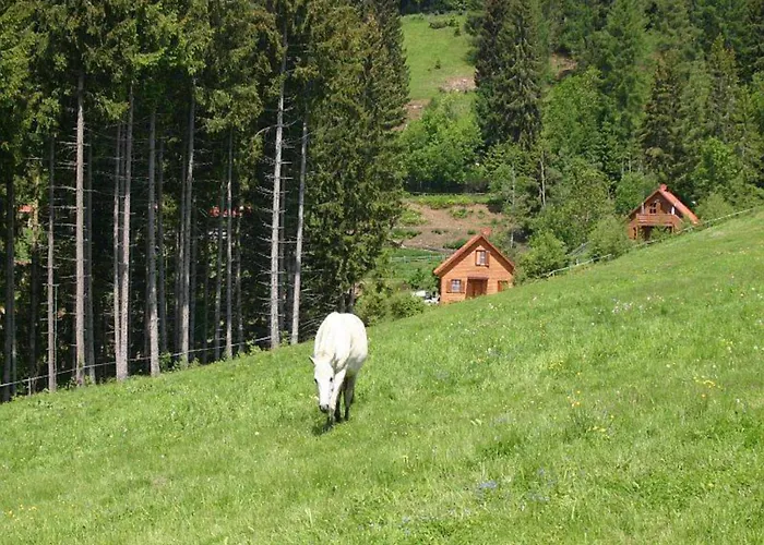 Karawankenpanorama S *