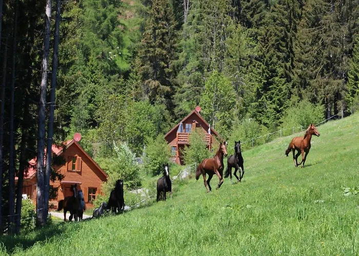 Karawankenpanorama S Appartement *